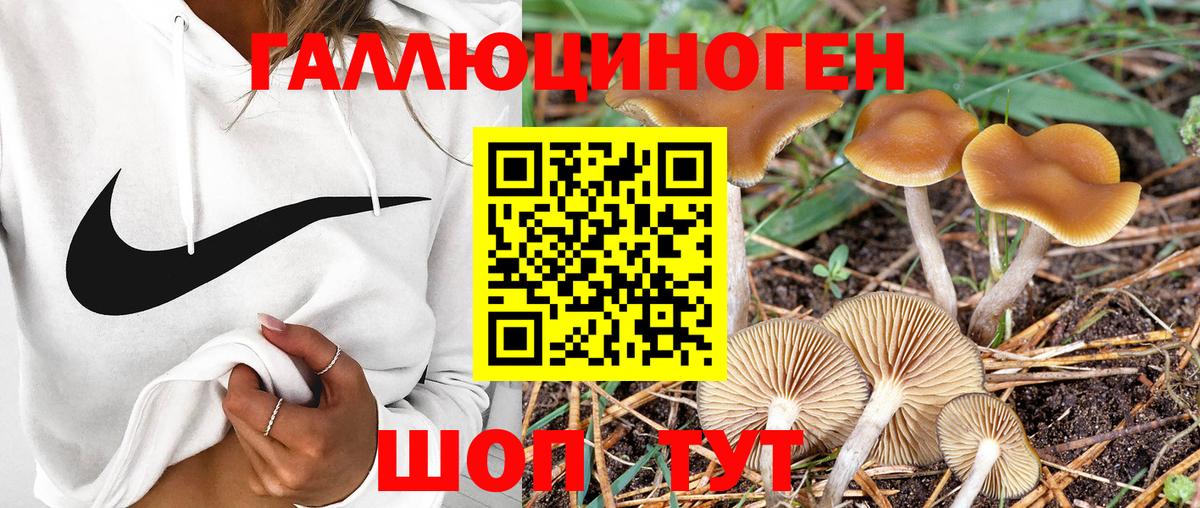 Галлюциногенные грибы Cubensis  Вход с VPN  Коряжма 